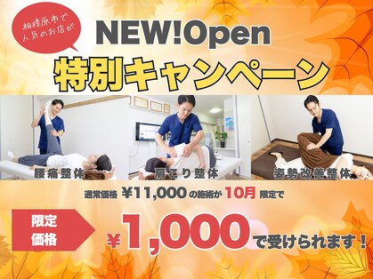 カイト(Kaito)の写真