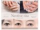ネオリーブリタ(Neolive rita)の写真