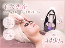 ポノエール(Pono Elle)
