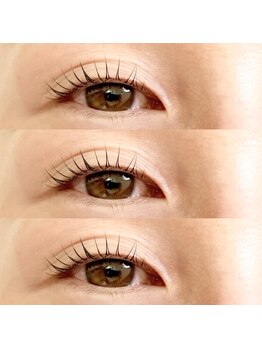 ステラ(STELLA)/ラッシュリスト