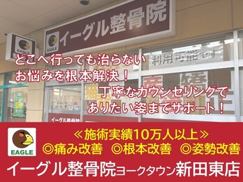 イーグル整骨院 ヨークタウン新田東店