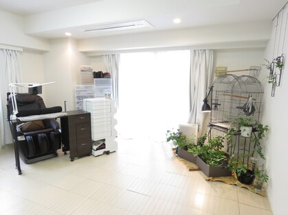 中央区のパラジェルが人気のネイルサロン 口コミ人気ランキング ホットペッパービューティー