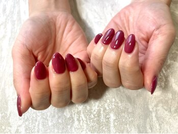 トランジット(Transit)/paragel2022 A/W new color