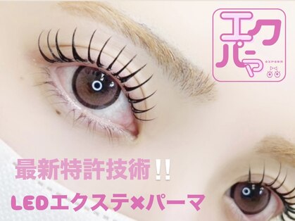 ココット(cocott)の写真