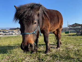 葡のか(ほのか)/@UMAGLOVE