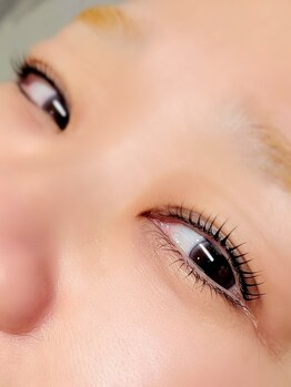 ティディーネスト(Tidynest)/まつげパーマ