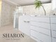シャロン(SHARON)の写真