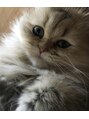 ティーエヌ 梅田店&nbsp;猫ちゃん飼ってます♪