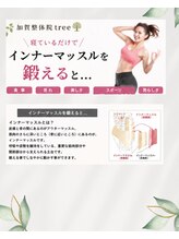 加賀整体院ツリー(tree)