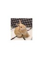 プラスボディ 東松戸店(PLUS BODY)&nbsp;うさぎを飼っています。可愛いうさぎに毎日癒されてます♪