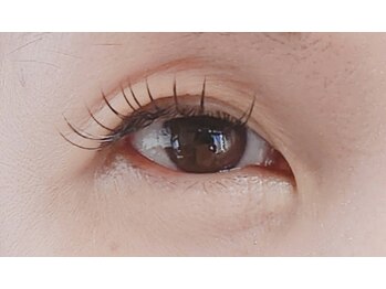 ジャポネスク(JAPONESQUE)/Cカール