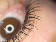 ビビ(VIVI)/バインドロック100束～