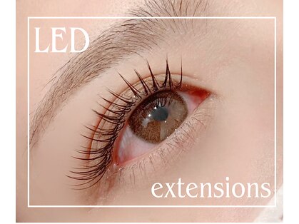 アイラッシュ リップル(Eyelash ripplu)の写真