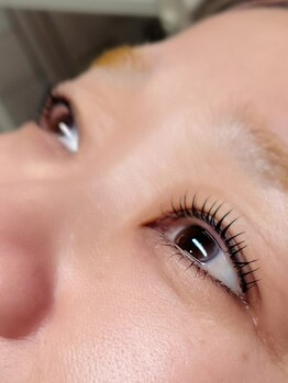 ティディーネスト(Tidynest)/まつげパーマ