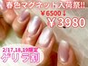 【最安値】【2/17~19日限定☆3980円】50種類以上!選べるマグネットネイル!