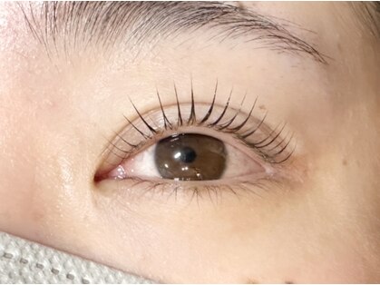 ジョリ(Joli.)の写真