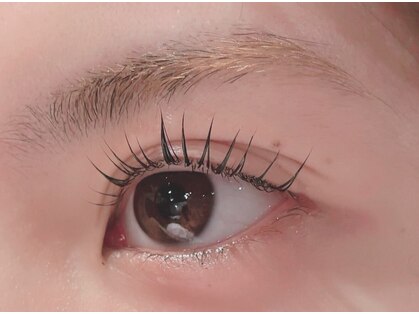 ＆ｓｅｅｋの写真