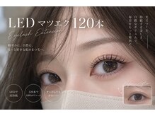 ももまつ毛