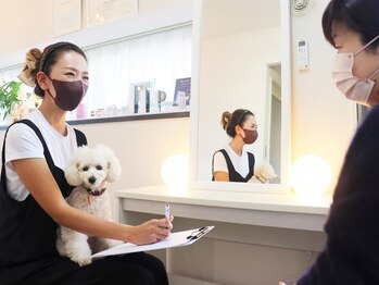 ビカ 名古屋店(美ka)/肌別分析