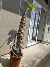 大館整体スタジオ/