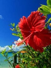 手もみ処さざ波 塩釜店 沼倉