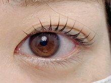 プラスアイ 銀座中央通り店/ペッタロッド　担当：國井