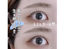 カワイイ製作所 桑名店(Cawaii製作所)/【LASH LIFT】スフレカール
