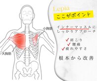 レピア 夙川本店(Lepia)