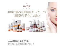 ルミナエステ(LUMINA ESTH)/サロン専用の化粧品で美しく 