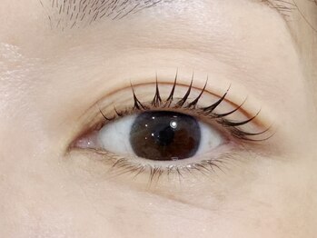 スリーズ(Cerise)/