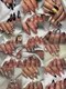 オンネイル(on nail)の写真/《圧倒的豊富なアート♪》シンプル系～埋め尽くしやキャラクターネイルのような豪華系まで対応◎定額も有♪