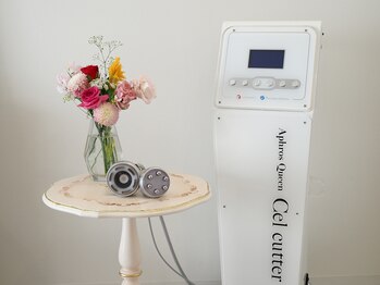 レナータ バイ アフロスクィーン(Renata by Aphros Queen)/セルカッター痩身