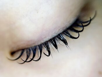 ネロリ バイ エイティスト(neroli by 8ist)/フラット160本［新宿/新宿駅］