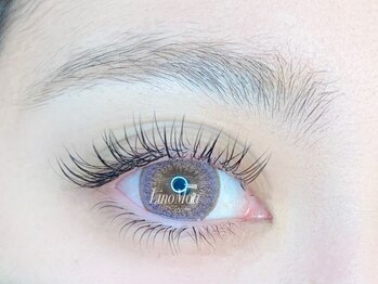 リノモア(LinoMoa)/フラットラッシュ