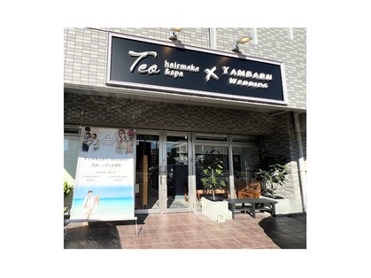 テオ(Teo)の写真
