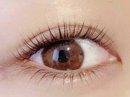 リードット(Re.)の写真