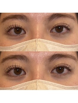 フィービー(pheebe)/パリジェンヌラッシュリフト