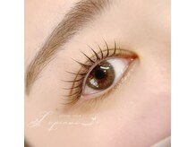 ルピナス(Lupinus)