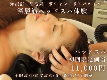 カンナ(CANNA)の写真