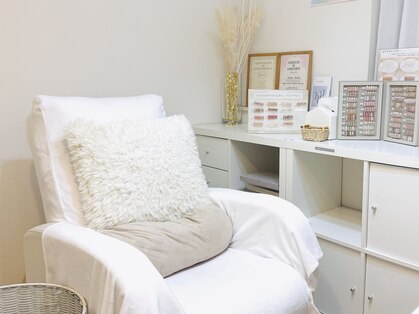 ネコ(neko)の写真