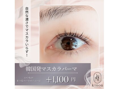 キノン(kinon)の写真