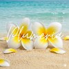 プルメリア(Plumeria)のお店ロゴ