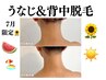 7月キャンペーン★うなじ&背中脱毛￥7700-→