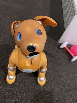 エンジェルリフレ/受付担当