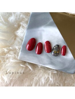 ルピナス(Lupinus)/シンプル