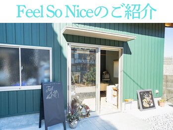 フィールソーナイス(Feel So Nice)/フィールソーナイスのご紹介