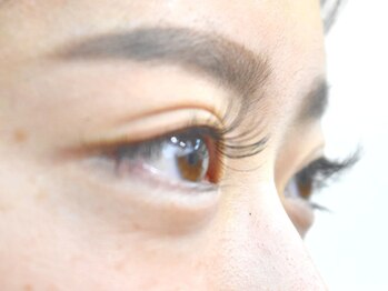 アンジェリ(Angeli)/フラット120本