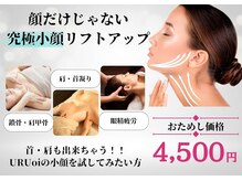 ウルオイ 海老名(URUoi)