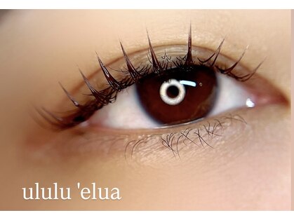 ウルル エルア(ululu 'elua)の写真