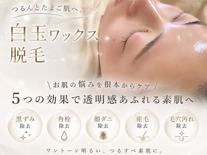 ラナ(Lana)の写真